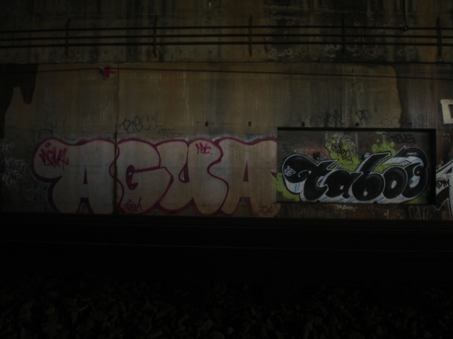 AGUA TABOO
