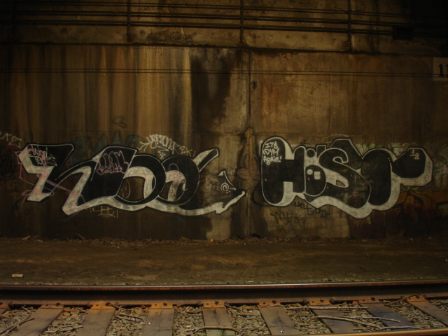 HOOL HOST