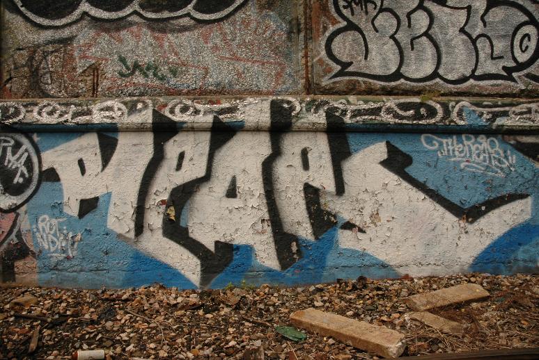 REAPS